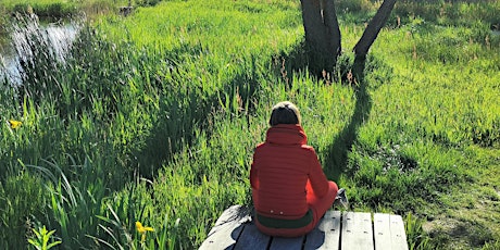 Primaire afbeelding van Bosbaden / Shinrin-Yoku / Forest Bathing - Amsterdamse Bos