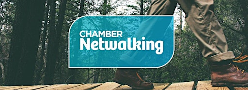 Collection image for Chamber Netwalking