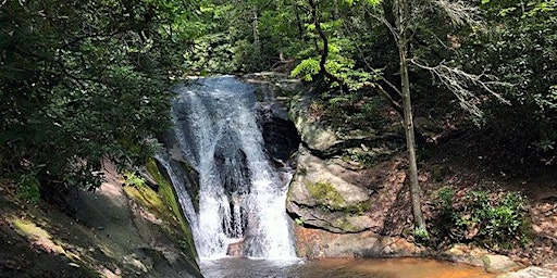 Stone Mountain - Widows Creek Trail Hike  primärbild