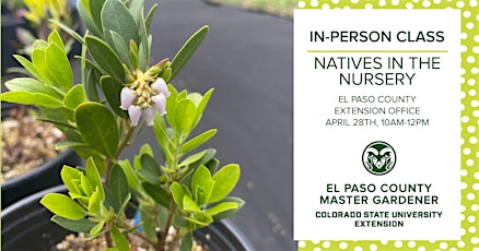 Immagine principale di Natives in the Nursery - In Person 