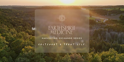 Image principale de Harvesting Exchange Series: Coltsfoot & Trout Lily