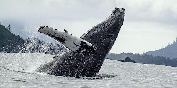 27th Annual B.C. Marine Mammal Symposium