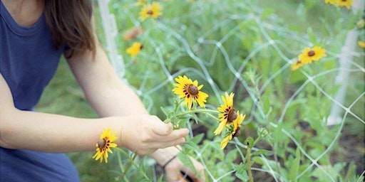 Gardening 101 primary image