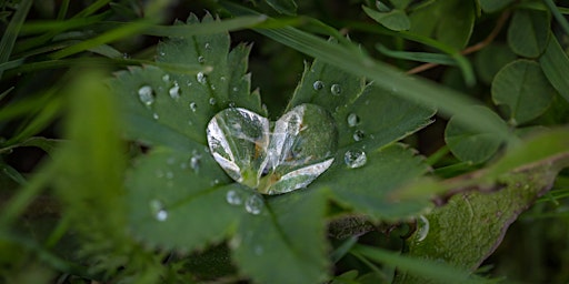 Embracing Gratitude  primärbild