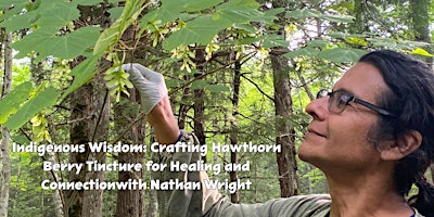 Imagem principal do evento Indigenous Wisdom: Crafting Hawthorn Berry Tincture for Heart Health