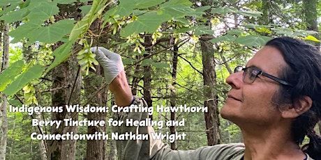 Indigenous Wisdom: Crafting Hawthorn Berry Tincture for Heart Health  primärbild