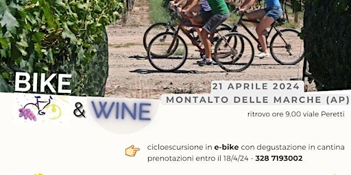 Hauptbild für CICLOESCURSIONE "BIKE & WINE DEI COLLI PICENI"