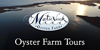 Primaire afbeelding van Oyster Farm Tour