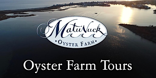 Oyster Farm Tour primary image