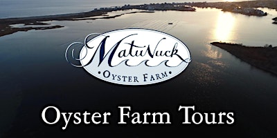 Oyster Farm Tour  primärbild