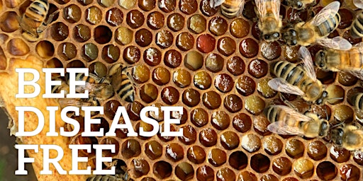 Hauptbild für Bee Disease Free Workshop