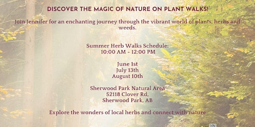 Image principale de Summer Plant Walks with Herbalist Jennifer Semeniuk