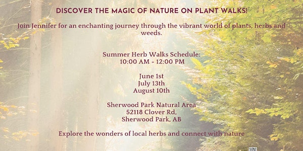 Summer Plant Walks with Herbalist Jennifer Semeniuk