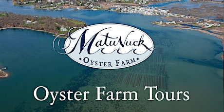 Oyster Farm Tour