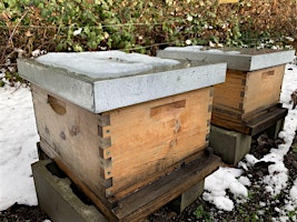 No Freeze Bees Workshop  primärbild