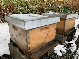 No Freeze Bees Workshop primary image