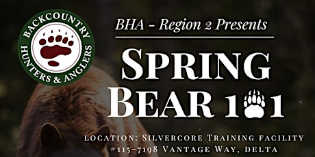 Spring Bear 101