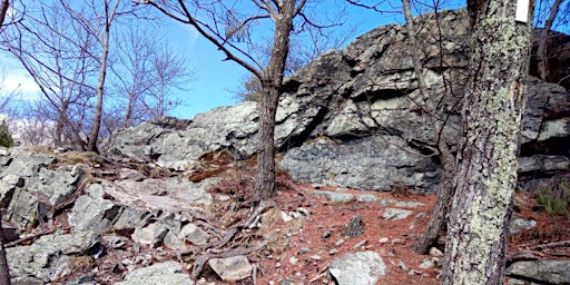 Hauptbild für "Seven Hills" Rocky Ramble