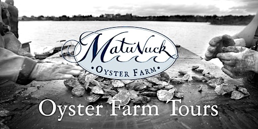 Oyster Farm Tour  primärbild