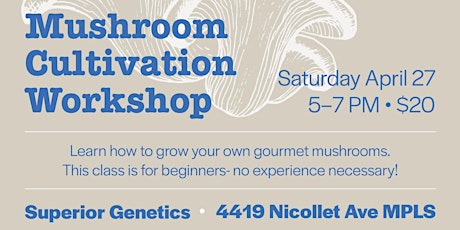 Beginners Mushroom Cultivation Workshop