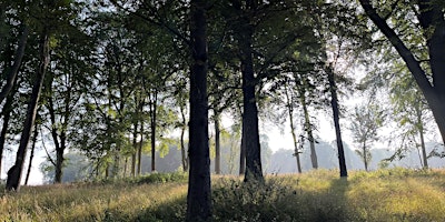 Wychwood Forest Spring Event - bird box building primary image