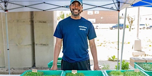 Primaire afbeelding van Growing Microgreens