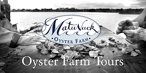 Primaire afbeelding van Oyster Farm Tour