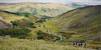 Imagem principal do evento Wicklow Walk for Ages 30+ Age group