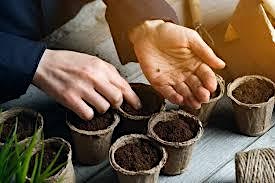 Hauptbild für Seed planting