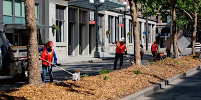 Image principale de Pioneer Square Spring Clean 2024