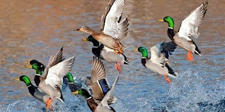 North MS Delta Waterfowl 2024 Youth Day primary image