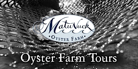 Oyster Farm Tour