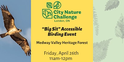 "Big Sit" Accessible Birding Event primary image