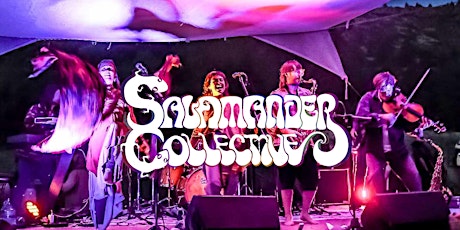 Salamander Collective @ the Alibi, Telluride, CO - May 10