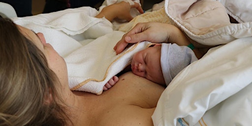 Imagem principal de Prepared Childbirth Series