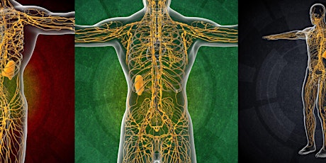 Lymphatic Drainage Massage Workshop 5 Days