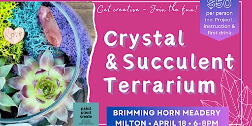 Primaire afbeelding van Crystal + Succulent Terrarium Workshop