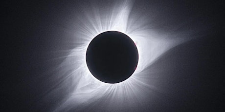 Imagem principal do evento Totality, the Beeclipse