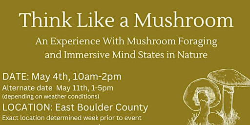 Primaire afbeelding van Think Like a Mushroom, an Experience With Mushroom Foraging and Immersive Mind States in Nature