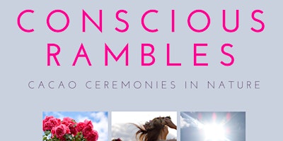 Summer Solstice cacao ceremony - Conscious Ramble primary image