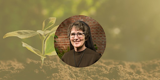 Hauptbild für Living Laudato Si': The Challenge and the Promise