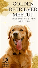 Golden Retriever Meetup at The Dog Society