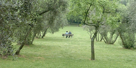 Immagine principale di Il senso delle panchine 