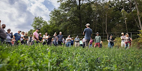 Agroforestry Demonstration Farm Tour