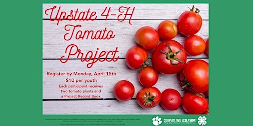 Immagine principale di Upstate 4-H Tomato Project - Greenville County 