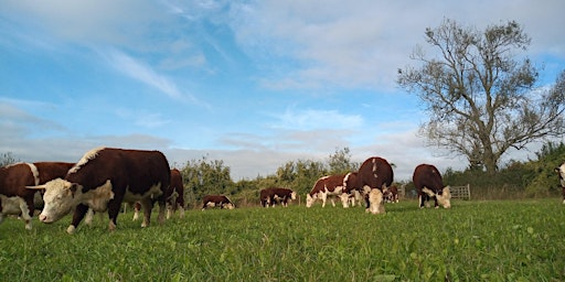 Primaire afbeelding van The Sandy Hill Mob farm walk