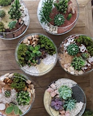 Plant Nite: Make a Succulent Terrarium