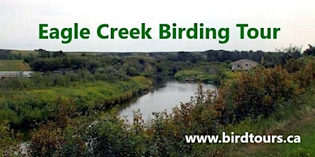 Eagle Creek and Hills Birding Tour