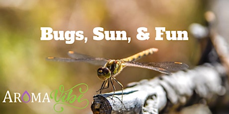 Bugs, Sun and Fun with Essential Oils