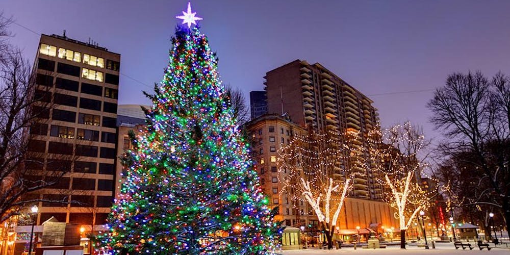 「BOSTON COMMON TREE LIGHTING CEREMONY」の画像検索結果